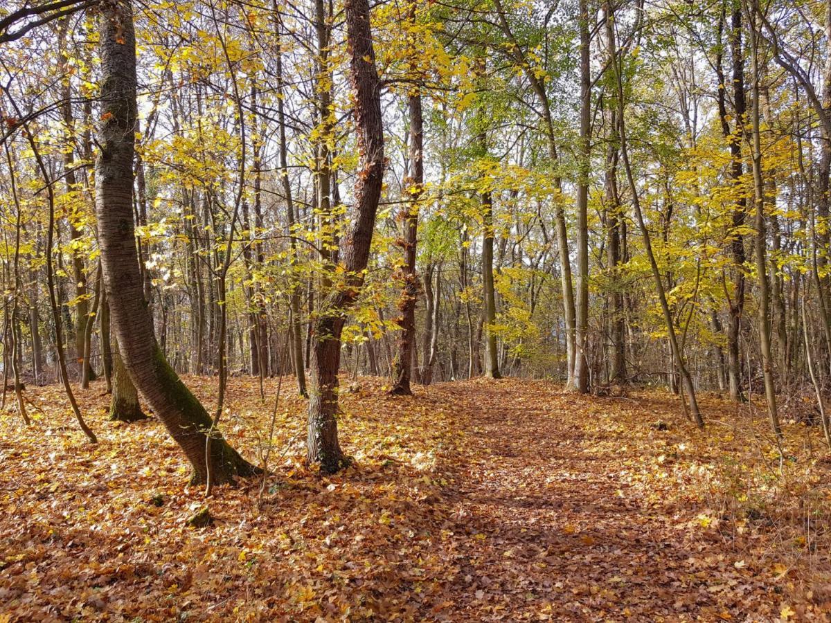 Gemuetliche Ferienwohnung Am Ortsrand Kreuzwertheim Exterior foto
