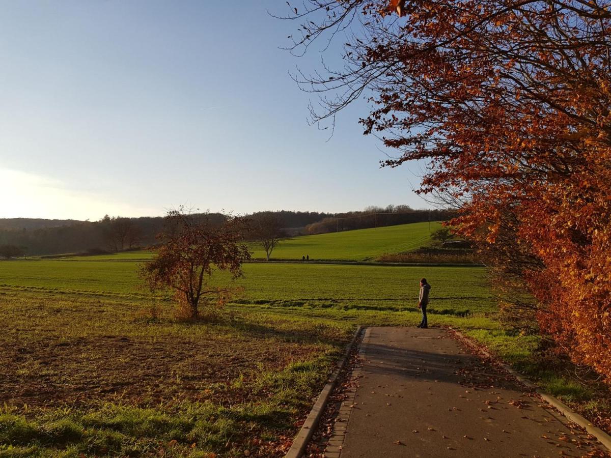Gemuetliche Ferienwohnung Am Ortsrand Kreuzwertheim Exterior foto